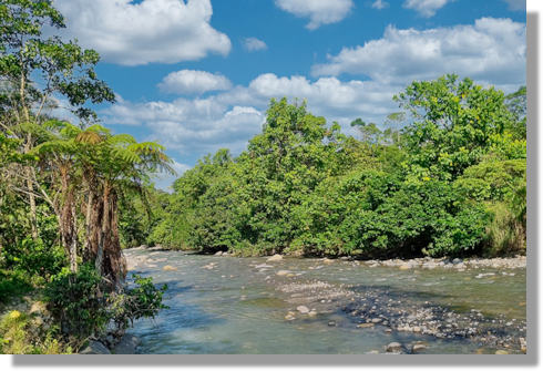 Urwald am Fluß in Ecuador Urwald am Fluß in Ecuador