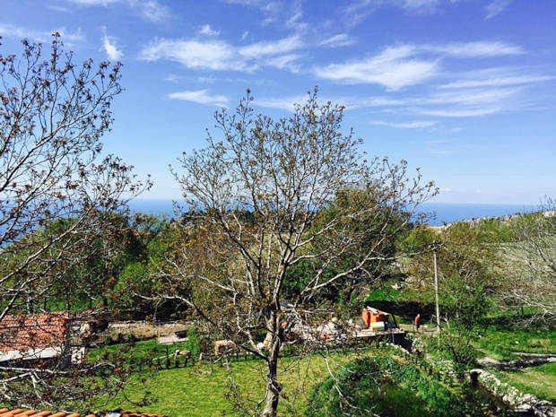 Garten vom Einfamilienhaus in Brajici Montenegro Garten vom Einfamilienhaus in Brajici Montenegro