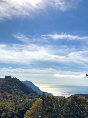 Ausblick vom Einfamilienhaus Ausblick vom Einfamilienhaus