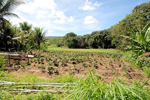 Granja im Bundesstaat Paraiba Brasilien