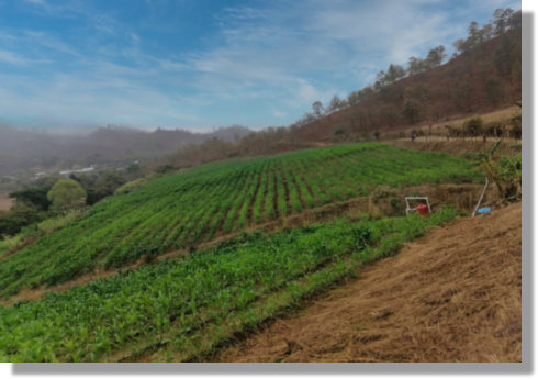 Plantage Farmland Grundstück für Landwirtschaft in El Salvador