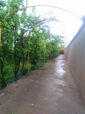 Garten Grundst�ck vom Einfamilienhaus