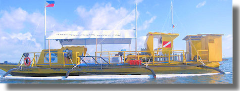 Motorboot für Tauchgänge Motorboot für Tauchgänge