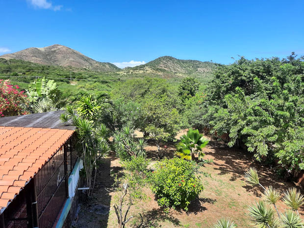 Ausblick von der Dachterrasse vom Wohnhaus