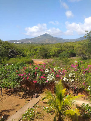 Grundst�ck vom Wohnhaus auf Isla Margarita