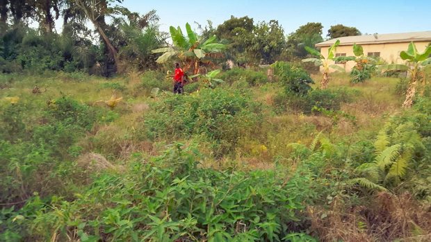 Grundst�cke bei Aboaso Kumasi zum Kaufen