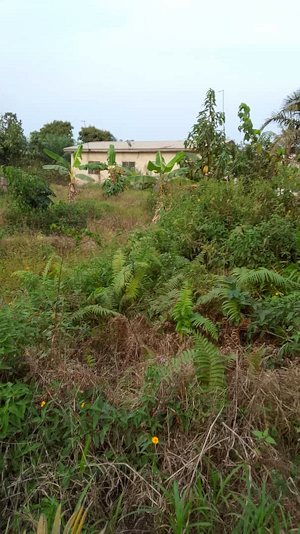 Grundst�ck f�r Wohnh�user Einfamilienh�user bei Kumasi zum Kaufen