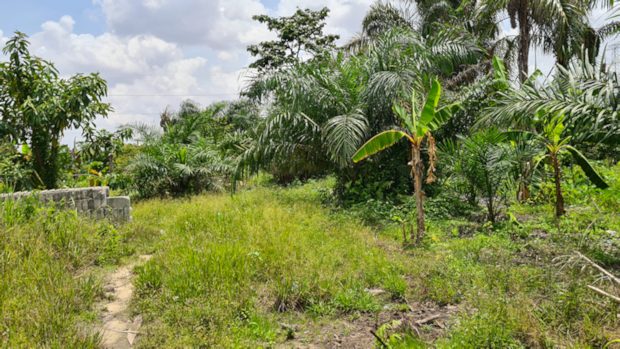 Grundst�ck f�r H�user in Kumasi