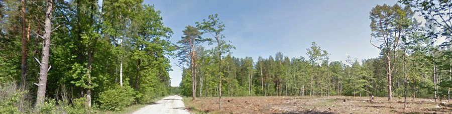 Baugrundstcke im Wald bei Klaipeda Litauen zum Kaufen