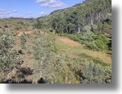 Baugrundstck im Alentejo Portugal zum Kaufen