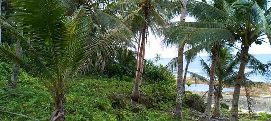 Grundstck am Meer Siagaro Island