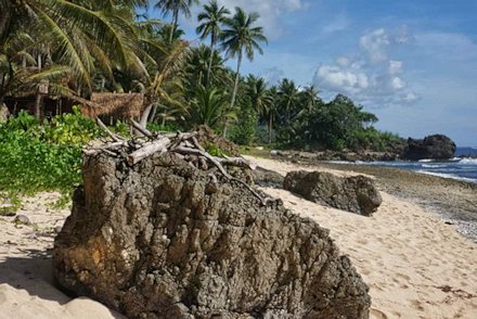 Strand vom Grundstck