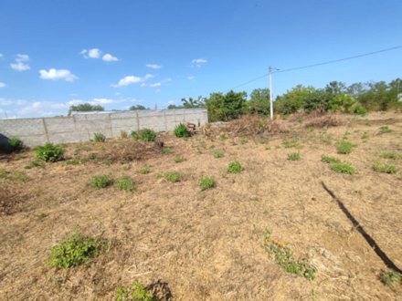 Grundst�ck in Leon Nicaragua