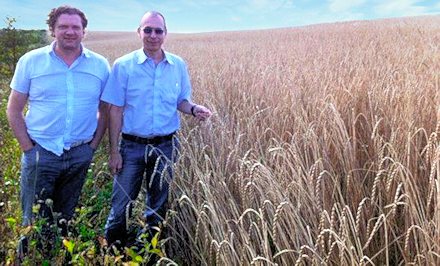 Farmland kaufen in der Ukraine bei Lwiw