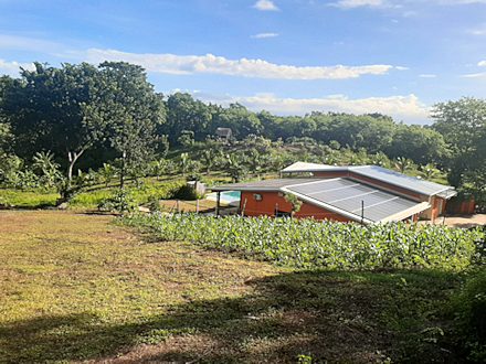 Finca auf Nicoya Costa Rica