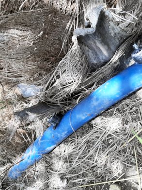 Bewsserung der Obstbume auf der Finca