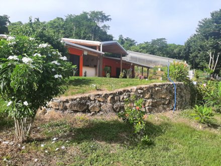 Garten vom Einfamilienhaus