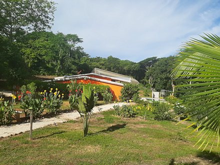 Weg zur Finca in Costa Rica