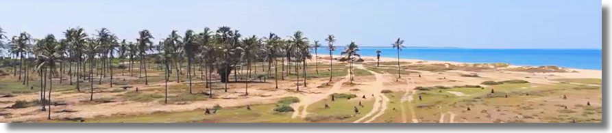 Grundstck am Meer Dutch Bay bei Kalpitiya Sri Lanka zum Kaufen vom Immobilienmakler Asien