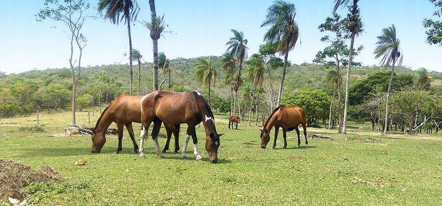 Estancia der Provinz Nuflo de Chavez in Bolivien