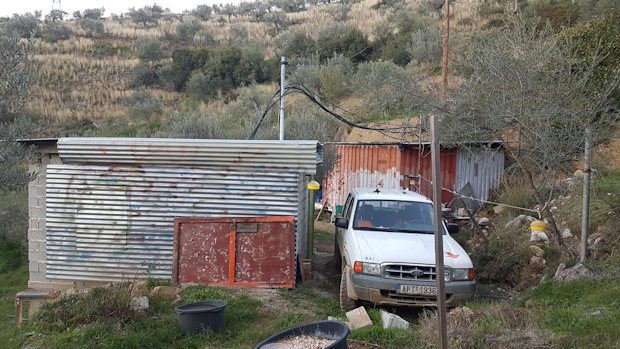 Olivenfarm auf Peloponnes