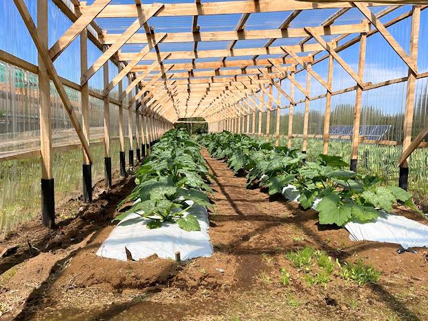 Farm zum Kaufen auf Isla Caucahue in Chile