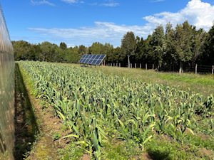 Ackerland der Farm