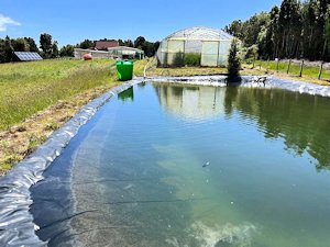 Wasserreservoire des Gehfts
