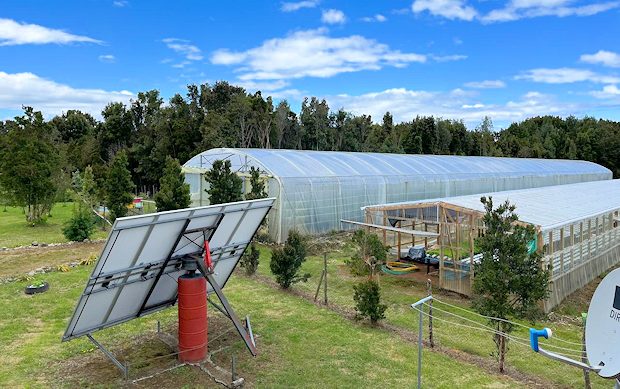 Farm Bauernhof mit Gewchshusern auf Caucahue Island in Chile