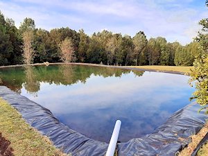 Teich der Farm