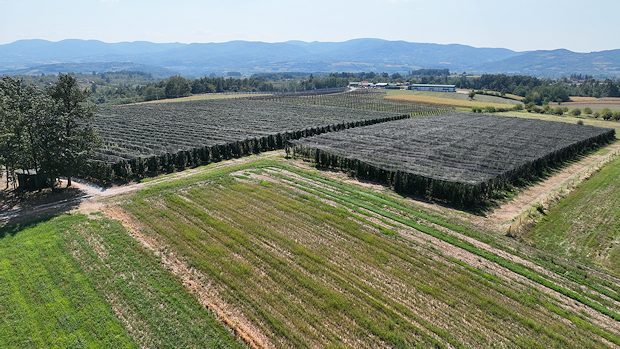 Apfelfarm in Serbien zum Kaufen