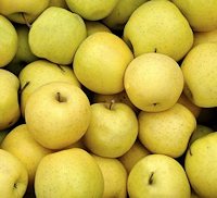 pfel der Apfelplantage in Serbien