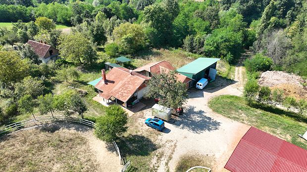 Reitanlage der Plantage in Serbien