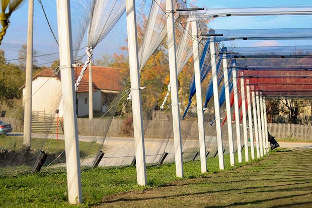 Hagelnetzmontagen fr Apfelplantagen