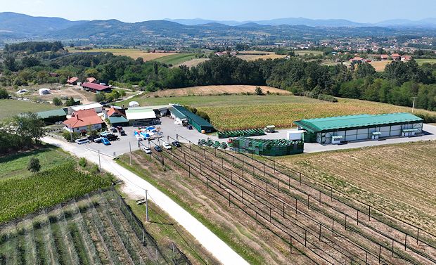 Apfelplantage in Serbien zum Kaufen