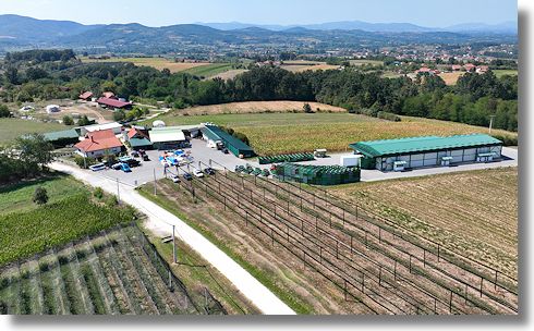 Apfelplantage in Serbien zum Kaufen Apfelplantage in Serbien zum Kaufen