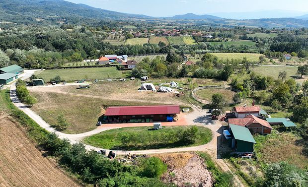 Pferdehaltung der Apfelplantage in Serbien