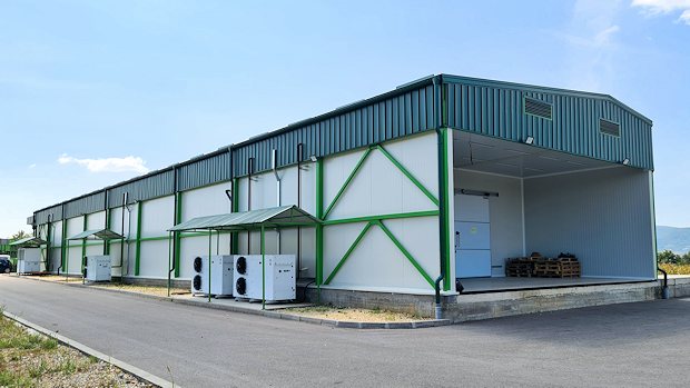 Verpackungshalle der Blaubeerplantage