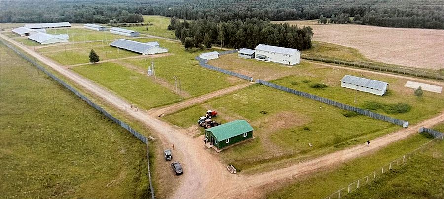 Schaffarm in Russland kaufen