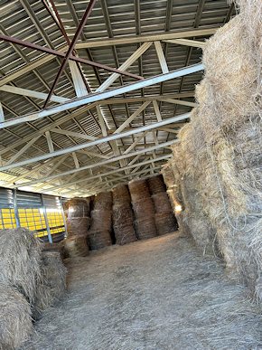 Heulager derSchaffarm