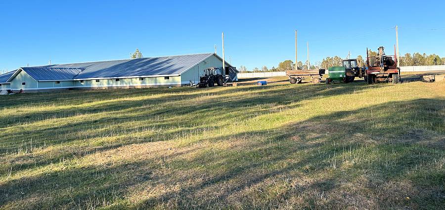 Farm fr Viehzucht in Russland