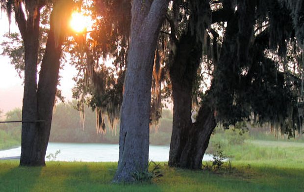 Baugrundstck mit Wasserflchen in Florida