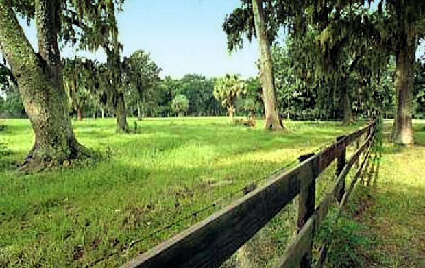 Baugrundstck bei Ocala im Marion County Florida zum Kaufen