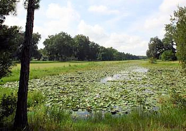 Naturgrundstck in Florida zum Kaufen