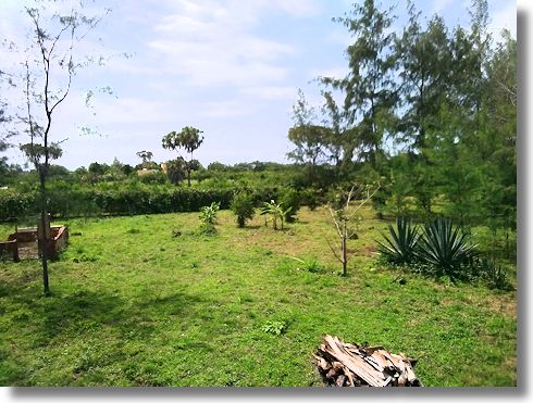 Grundstcke nah dem Meer und Strand in Kinondo Kenia
