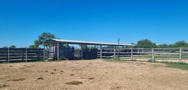 Farm in Pozo Colorado Paraguay