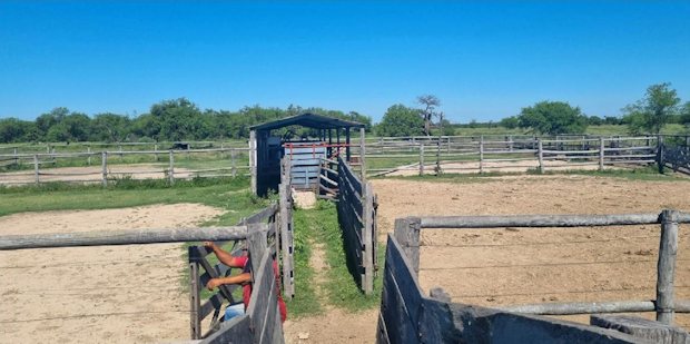 Estancia in Sdamerika Paraguay