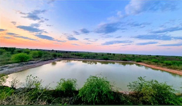 Teich Wasserspeicher der Farm in Presidente Hayes Paraguay