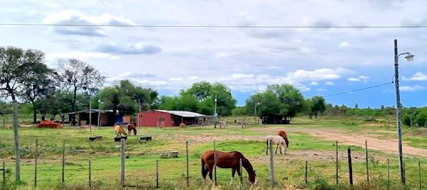 Pferderanch Farmbetrieb in Paraguay zum Kaufen