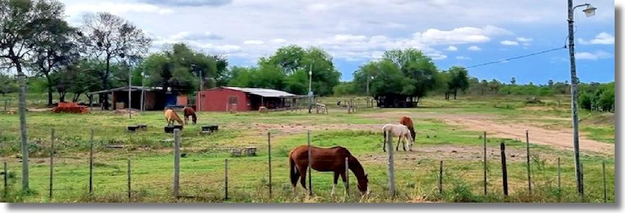 Estancia im Departamento Presidente Hayes